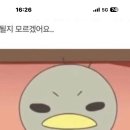 해연포차 이미지