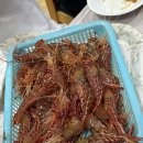 장백왕새우 - 고성군 장치2길 478 | 장백왕새우