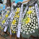 영천연합의원 이미지