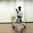 심검도