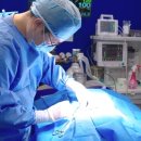 큰동물병원 이미지