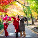 금강공원 이미지