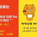 &#39;5000만→2000만원&#39;…손보사 운전자보험 &#39;변호사선임비&#39; 한도 축소 본격화 이미지