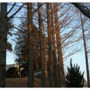 상무평화공원 이미지