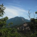 천등산주유소 이미지