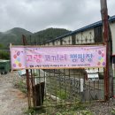 코끼리민박 | 대구근교 고령 코끼리캠핑장 물놀이 가능한 민박 후기