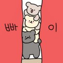 라이브카페공감 네이버블로그