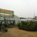 밀알농원 이미지