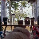 덮덮밥삼첩분식 - 제주시 수덕11길 1 | 덮덮밥삼첩분식
