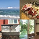 용지호스텔 | [강릉] 강릉 혼자여행 뚜벅이 1박2일 코스(또간집 + 신상맛집)