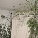 강남셀프 이미지