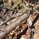 횡성단위농협 이미지