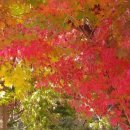 본동카페 이미지