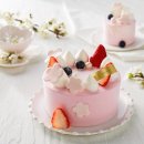 봄봄유통 이미지