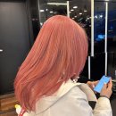 로이헤어 - 포항시 남구 효자동길10번길 12 | 로이헤어