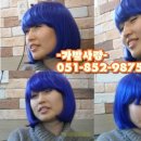 멋쟁이가발 이미지
