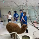 혜광농장 | 부산 여행지 추천 볼거리 먹거리 맛집 추천