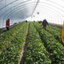 정해농장 이미지