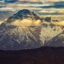 양지1길 이미지