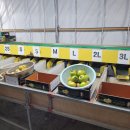 서영2농장 이미지