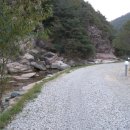 속리산자연펜션 이미지