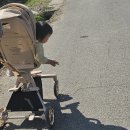 코지마트 | [육아용품] 빨리 살걸 후회템 내돈내산 '에이블 코지프리미엄' 트라이크 유모카 조립 사용법 후기