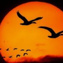 무안농장 이미지