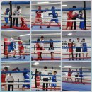 대전 여성복싱 이미지