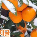 온유농장 이미지