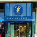 마이도그샵 이미지