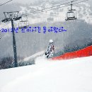 겨울이다! 2012년 스키&보드시즌권구입 이미지