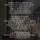 수원시 팔달구 효원로235번길 이미지