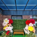 대전갈마유치원 이미지