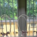 호성초등학교병설유치원 이미지