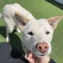 아이조아 본점 이미지