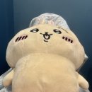 리앤뷰티네일 | 부산시청 브라질리언 왁싱 연제구 리앤뷰티 후기