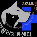 차지우동물병원 이미지