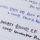 에이치엠피 | 다이소 만년형 위클리 다이어리 | 투명 커버 다이어리 구매 및 만년필 사용 후기