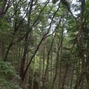 치악산둘레길 2코스 구룡길 이미지