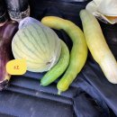 달이농장 이미지