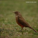 석천해장국 아구찜 이미지