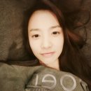 제주도 레인보우 이미지