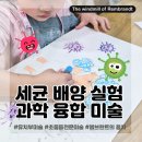 김해 율하 미술학원 렘브란트의 풍차 흥미진진 세균 배양 실험 과학 융합 미술