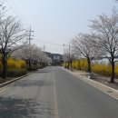 양궁장 주변