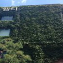 건축물 탐방 코스 이미지