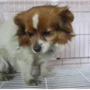 학감대로 이미지