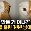 반반