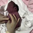 36주 조산 자연분만 후기｜가진통부터 유도분만, NICU 입원까지 솔직 후기