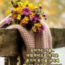 에이스종합관리 - 동래구 | 에이스종합관리