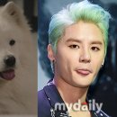 샤키 이미지